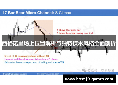 西格诺里场上位置解析与独特技术风格全面剖析
